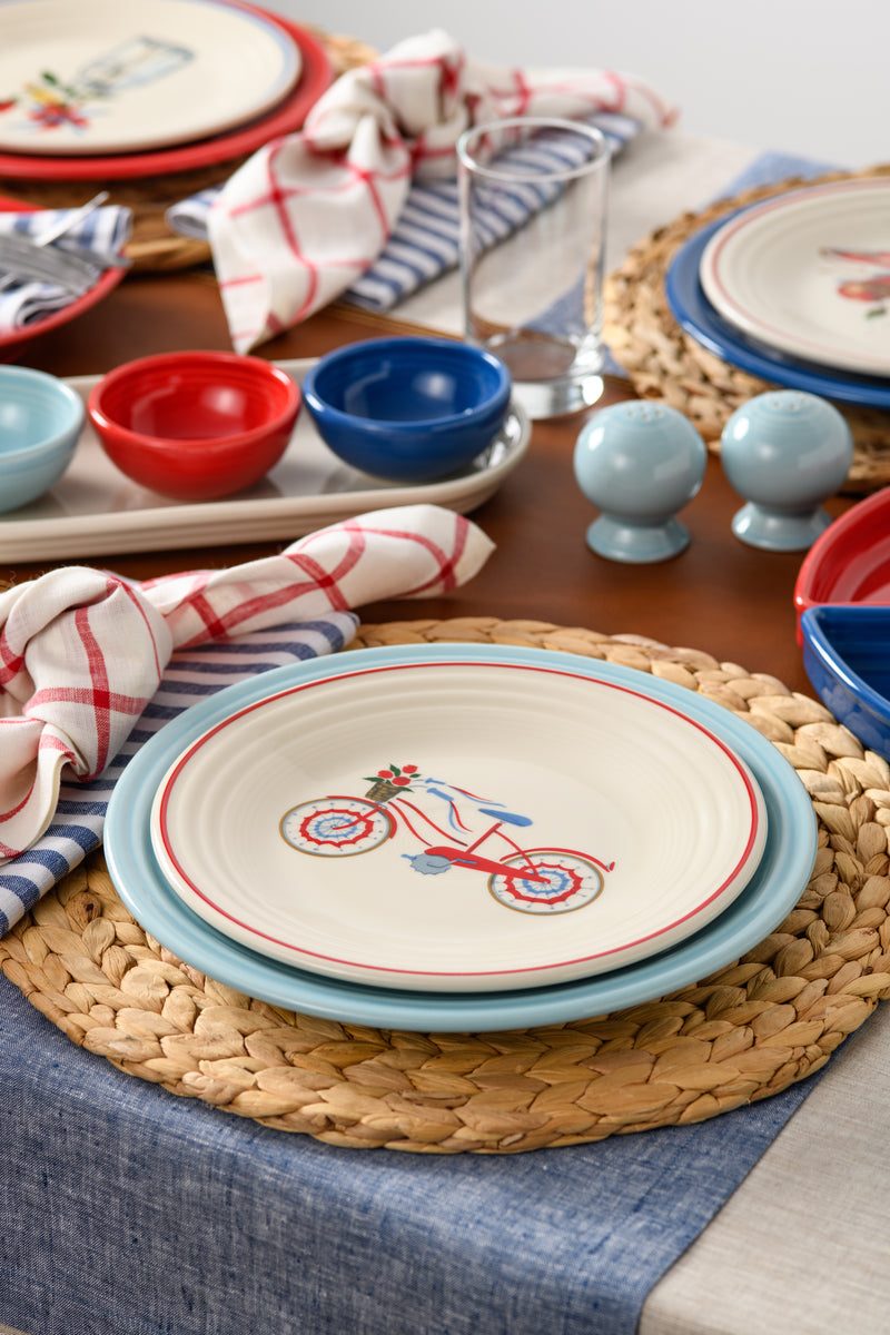 Fiesta China Americana Bicycle Classic Rim 9 Inch Luncheon Plate - Image 2