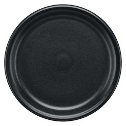 Fiesta China Bistro Coupe 10 1/2 Inch Dinner Plate Foundry