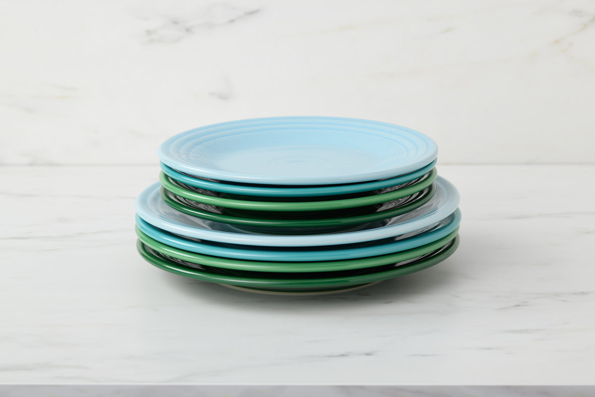Fiesta China Classic Rim 10 1/2 Inch Dinner Plate - Image 13