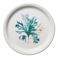 Fiesta China New Retired Coastal Shores Bistro Coupe 9 Inch Luncheon Plate