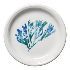 Fiesta China New Retired Coastal Bistro Coupe 7 1/4 Inch Salad Plate