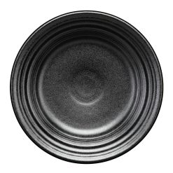 Fiesta China Classic Rim 9 Inch Luncheon Plate Foundry